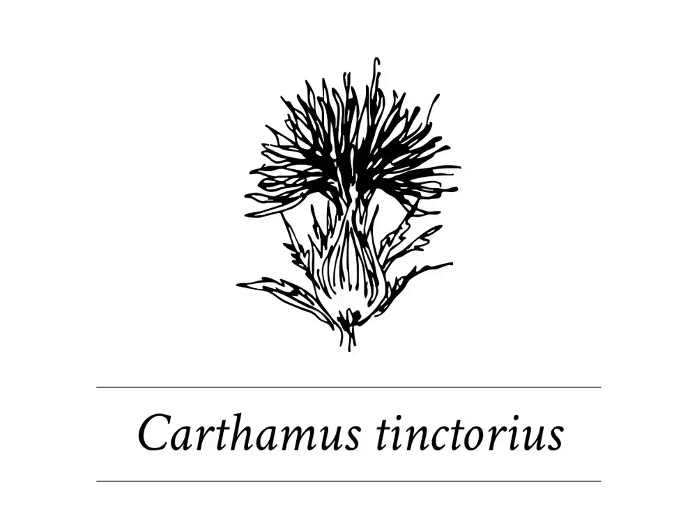 Davines Authentic Ingredient Carthamus Tinctorius