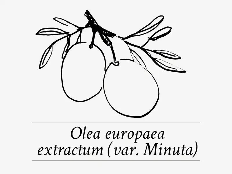 Davines LOVE Smoothing ingredient olive