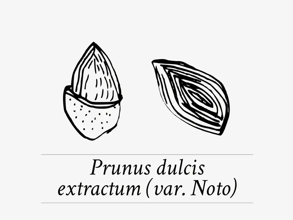 Davines Love Curl Ingredient Noto Almond