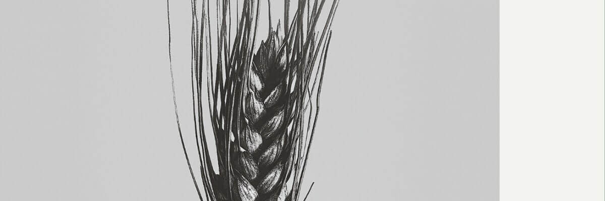 Regrowth