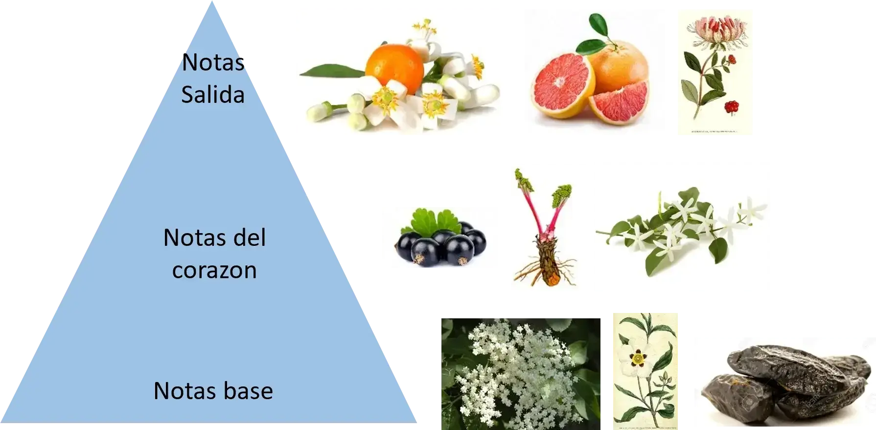 Aroma LOVE Piramide