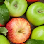 Células madre de Manzana