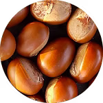 Livello
